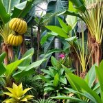 31 Stunning Tropical Garden Design Ideas for Your Backyard 7