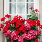23 Stunning Summer Flowers to Brighten Your Garden 48