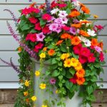 25 Creative Spring Planter Ideas to Refresh Your Garden 9