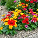 21 Creative Gravel Flower Bed Ideas for Your Garden 9