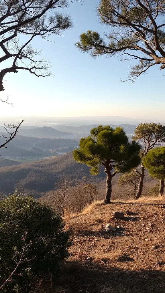 17 Stunning Hillside Landscaping Ideas to Transform Your Garden 16