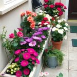 23 Stunning Planter Box Flower Combinations for Your Garden 7