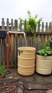 27 Creative Kitchen Garden Ideas for Your Home