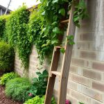 25 Creative DIY Trellis Ideas for Your Garden Makeover 78