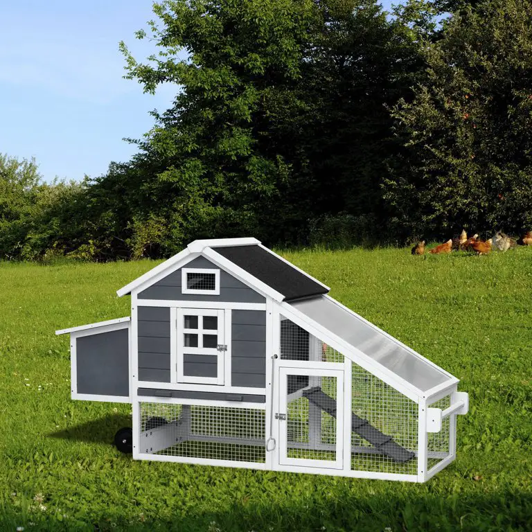 19 Creative Pallet Chicken Coop Ideas You’ll Love 32 19 Creative Pallet Chicken Coop Ideas You’ll Love 26