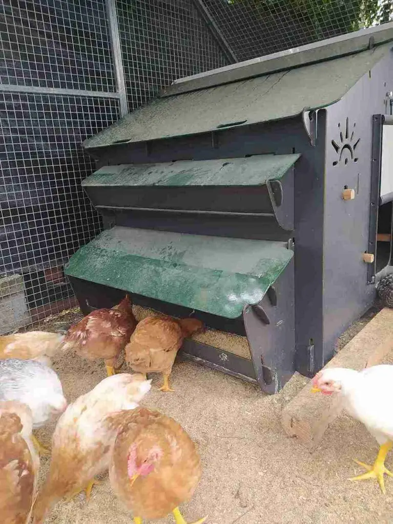 19 Creative Pallet Chicken Coop Ideas You’ll Love 33 19 Creative Pallet Chicken Coop Ideas You’ll Love 27