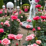 29 Stunning Rose Garden Ideas to Elevate Your Outdoor Space 54