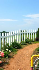 19 Charming Picket Fence Ideas for Your Dream Garden