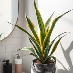 15 Stunning Bathroom Plants that Thrive in Low Light 6