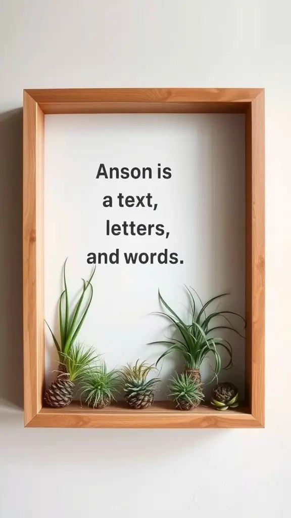 19 Creative Air Plant Display Ideas for Your Home 12 A wooden frame displaying air plants and text that reads 'Anson is a text, letters, and words.'