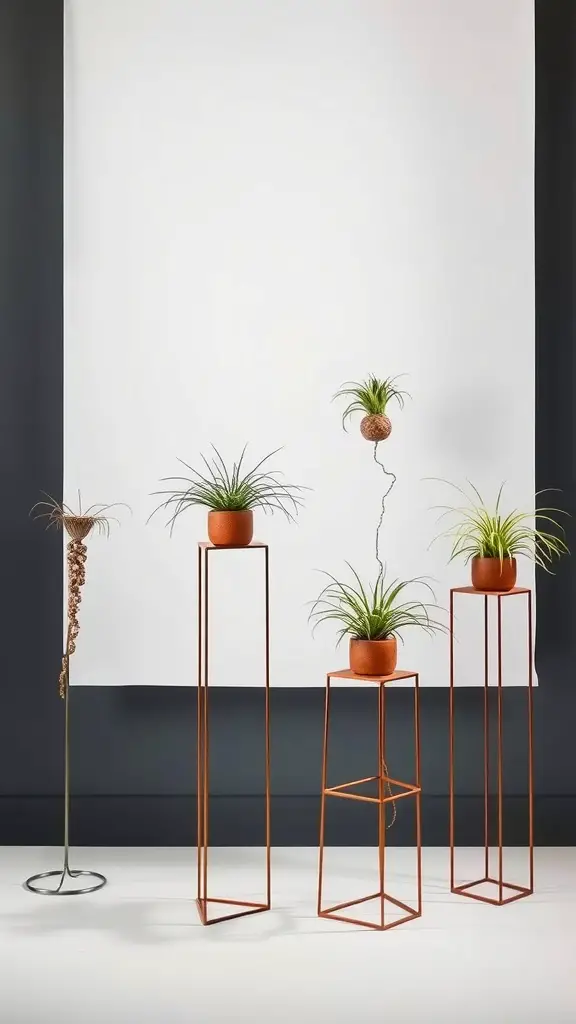 19 Creative Air Plant Display Ideas for Your Home 8 Geometric metal stands displaying air plants in various arrangements.