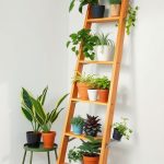 19 Beautiful Indoor Wall Plant Ideas to Transform Your Space 49