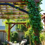 23 Inspiring Backyard Layout Ideas for Your Outdoor Oasis 36