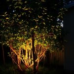 23 Stunning Corner Landscaping and Lighting Ideas to Illuminate Your Outdoor Space 43