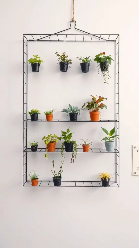 19 Beautiful Indoor Wall Plant Ideas to Transform Your Space 15 A wire frame plant holder with various indoor plants arranged in small pots.