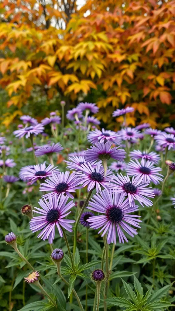 17 Long-Blooming Perennials for a Vibrant Garden Year-Round 10