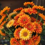 21 Stunning Flower Bouquet Ideas for Every Occasion 9