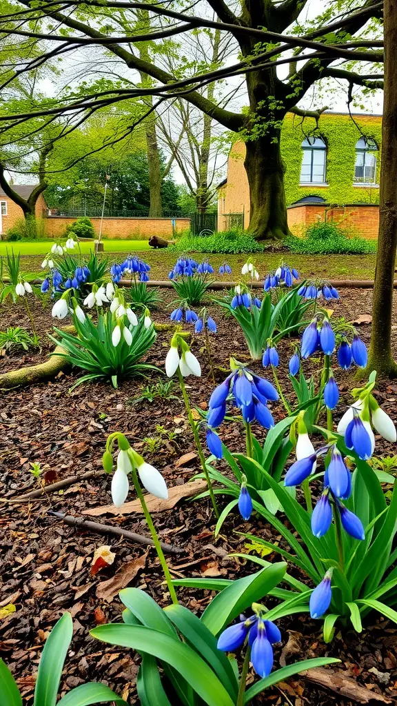 19 Stunning Floral Garden Ideas Featuring Beautiful Bulbs 8 A garden scene showcasing clusters of blue and white flowers blooming in a shady area under a large tree.