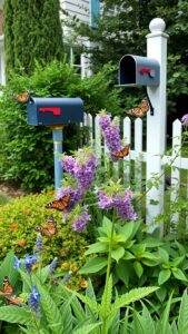 19 Stunning Mailbox Plants to Enhance Your Curb Appeal