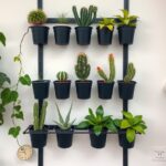 17 Inspiring Indoor Plant Wall Designs Featuring Cacti 51