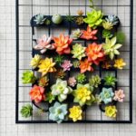 21 Stunning Indoor Plant Wall Designs Featuring Succulents 50