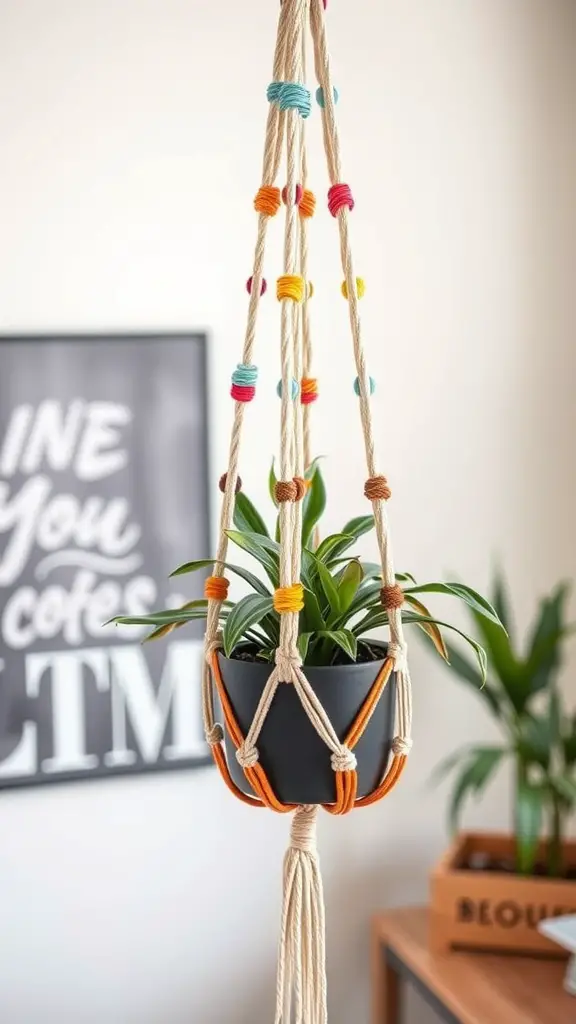 19 Stunning DIY Macrame Plant Hangers to Elevate Your Home Decor 17 A colorful macrame plant hanger featuring a black pot with a green plant, showcasing vibrant yarn twists and natural rope.
