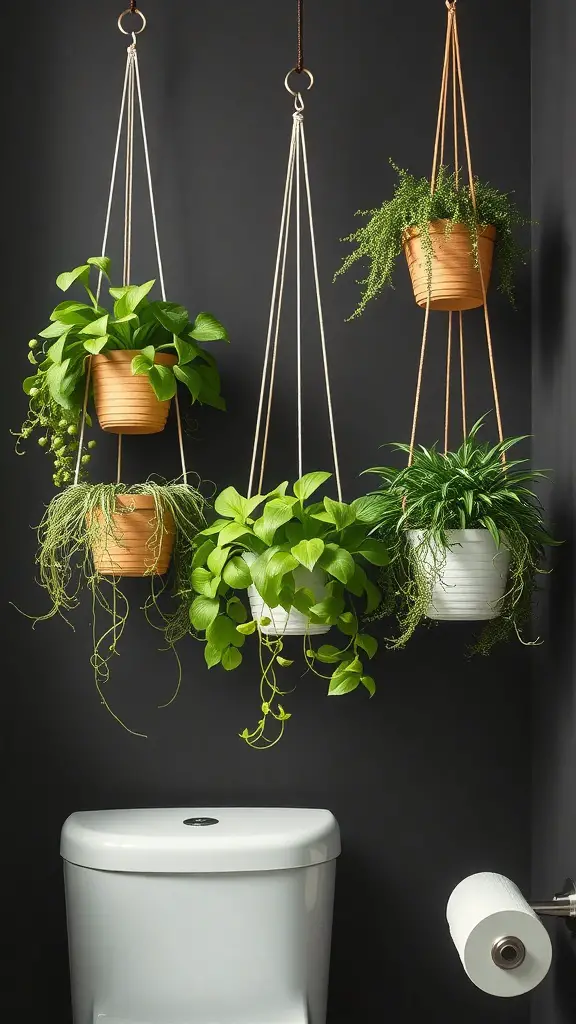 17 Creative Over Toilet Storage Ideas for Small Bathrooms 14 Hanging planters with various plants above a white toilet in a dark bathroom