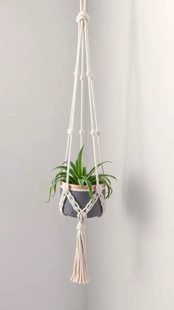 19 Stunning DIY Macrame Plant Hangers to Elevate Your Home Decor 9 A macrame plant hanger with a green plant in a pot, hanging against a light wall.