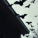 21 Spooktacular Outdoor Halloween Decorations to Creepy Up Your Home 8