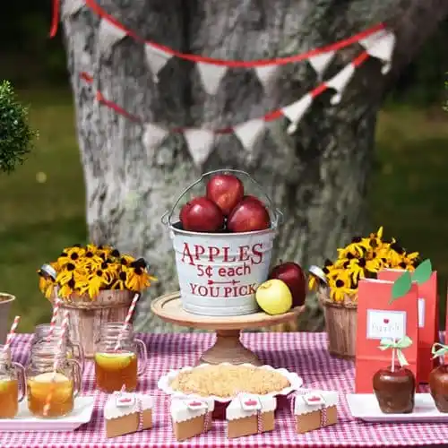 19+ Unique Fall Birthday Party Ideas for an Unforgettable Celebration 14 19+ Unique Fall Birthday Party Ideas for an Unforgettable Celebration 6