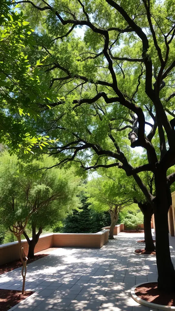 A pathway surrounded by lush green trees providing shade.