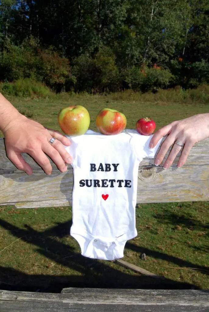 23+ Creative Fall Gender Reveal Ideas for Your Autumn Celebration 3 23+ Creative Fall Gender Reveal Ideas for Your Autumn Celebration 2