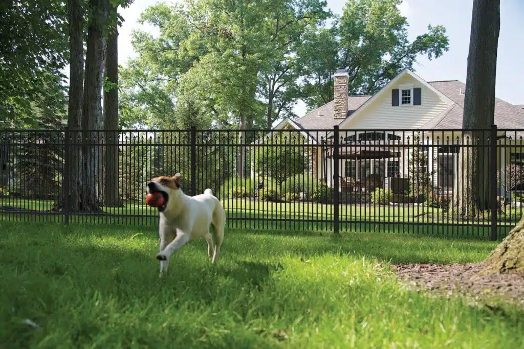 23+ Creative Dog Yard Fence Ideas for Your Furry Friend 5