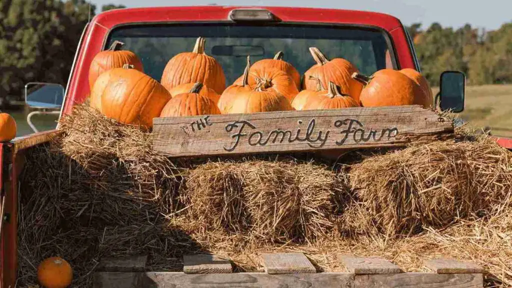 25+ Must-Try Fall Festival Games for All Ages 9