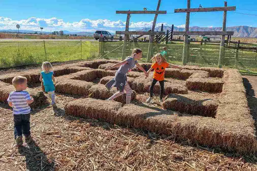 25+ Must-Try Fall Festival Games for All Ages 7