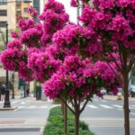 19+ Stunning Crepe Myrtle Landscaping Ideas to Transform Your Garden 9