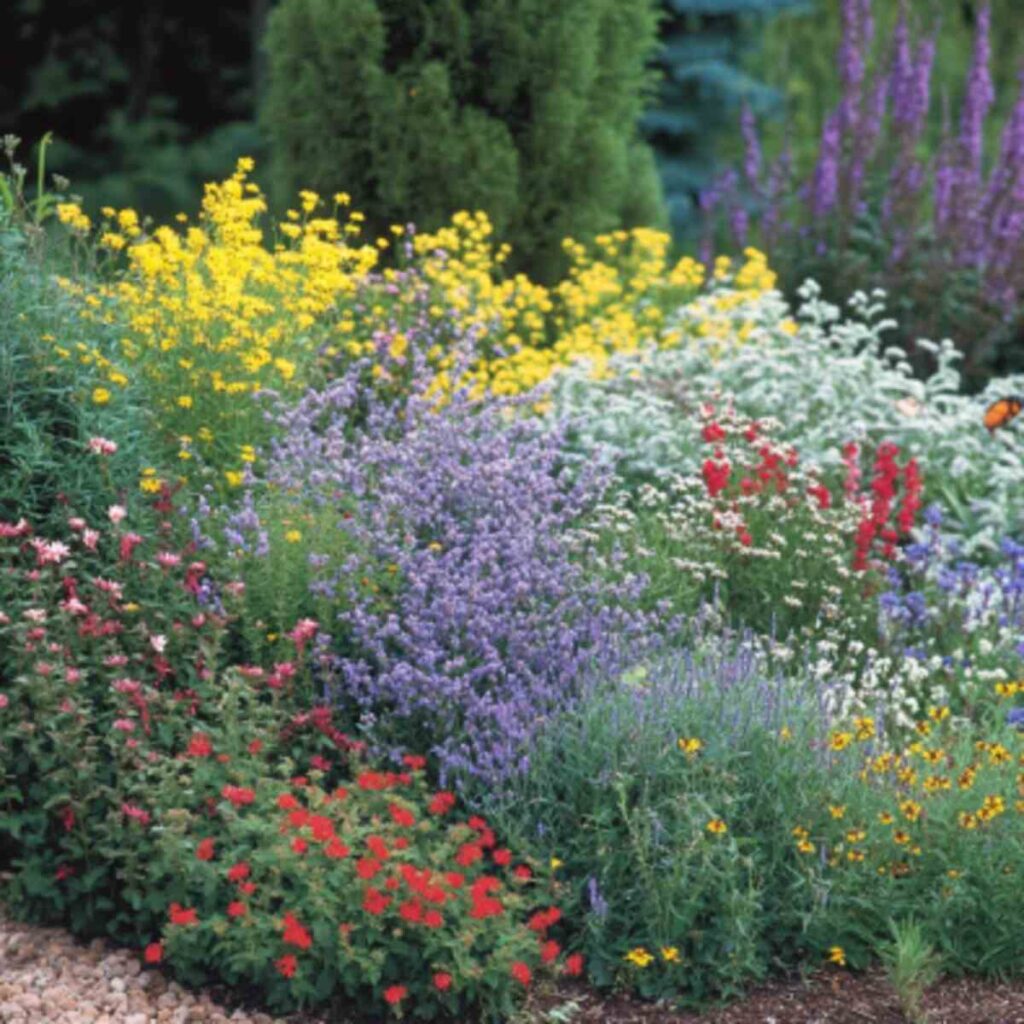 29+ Wild Flower Garden Landscaping 14 29+ Wild Flower Garden Landscaping 14