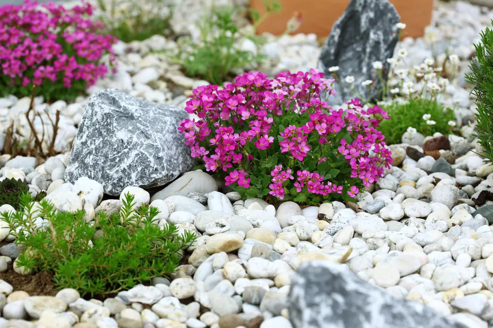 29+ Wild Flower Garden Landscaping 15 29+ Wild Flower Garden Landscaping 15