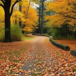 21+ Enchanting Woodland Paths to Explore This Fall 6