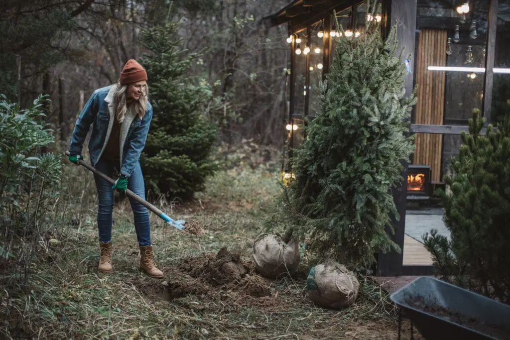 29+ Stunning Forest Christmas Tree Ideas for a Cozy Holiday Aesthetic 5