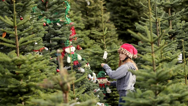 29+ Stunning Forest Christmas Tree Ideas for a Cozy Holiday Aesthetic 4