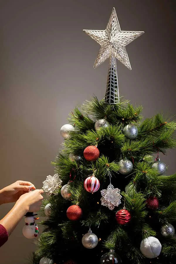 29+ Unique Pagan-Inspired Christmas Tree Decorations 3