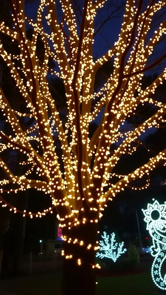 A tree wrapped in twinkling string lights, glowing warmly against a dark background.