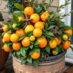 29+ Beautiful Outdoor Christmas Planters to Brighten Your Home 7