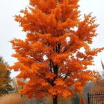29+ Stunning Thanksgiving-Inspired Christmas Tree Ideas 6