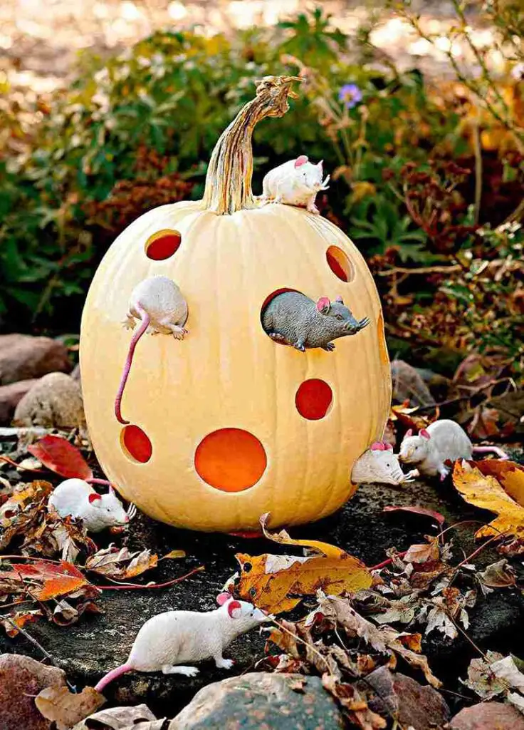 29+ Fun Thanksgiving Activities for Toddlers 3