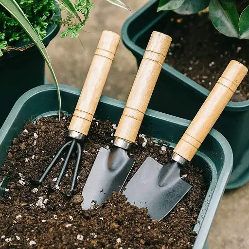 29+ Essential Garden Hand Tools for Every Enthusiast 3 29+ Essential Garden Hand Tools for Every Enthusiast 2