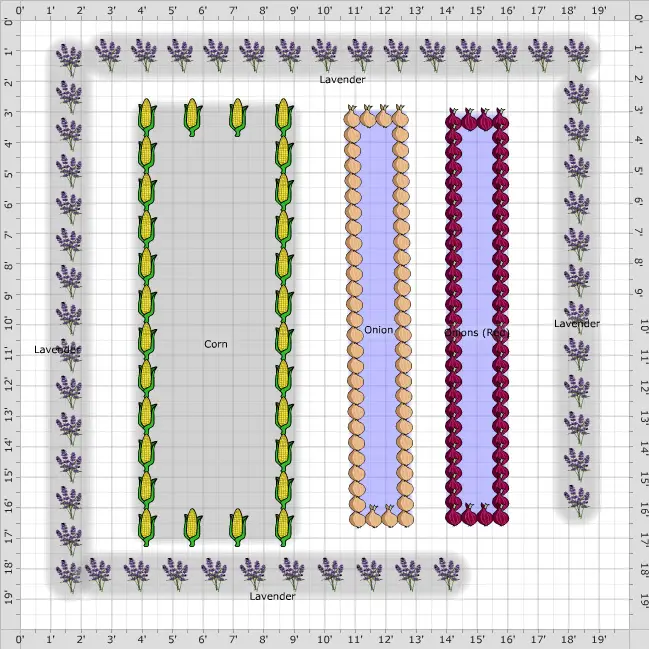 27+ Stunning Lavender Flower Varieties for Your Dream Garden 5 27+ Stunning Lavender Flower Varieties for Your Dream Garden 3