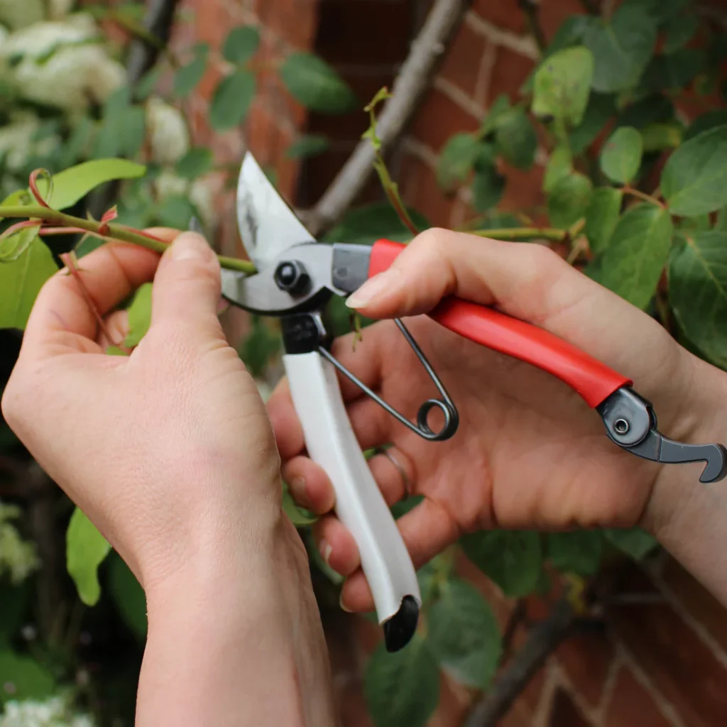 29+ Essential Garden Hand Tools for Every Enthusiast 9 29+ Essential Garden Hand Tools for Every Enthusiast 8