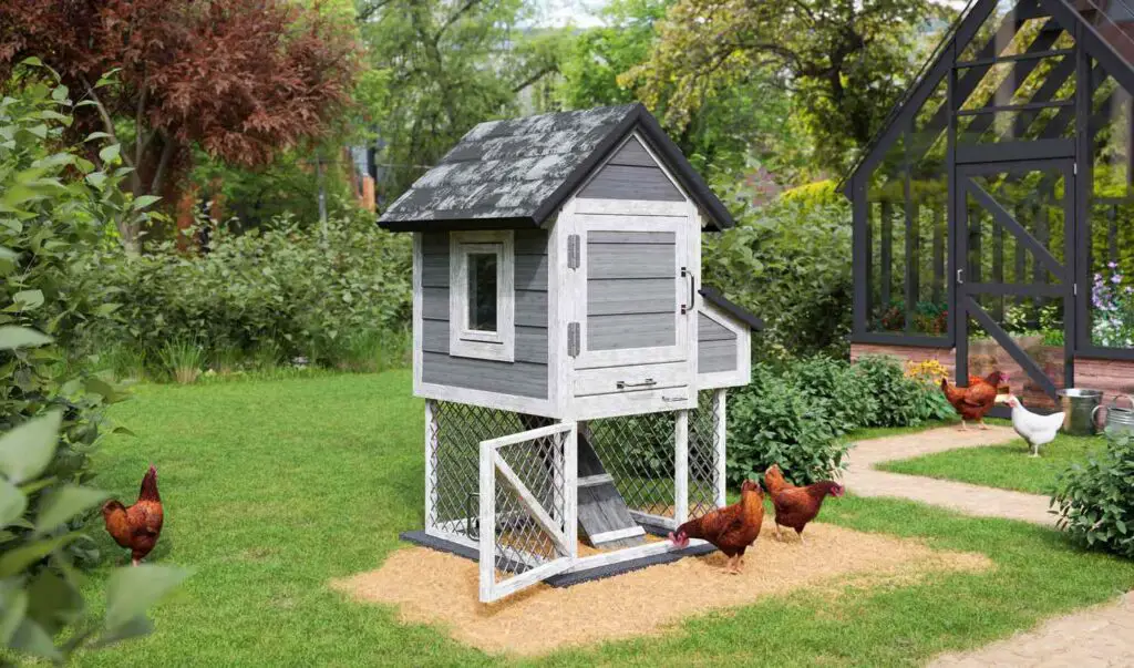 23+ Raised Chicken Coop Ideas for a Cleaner Backyard Setup 6